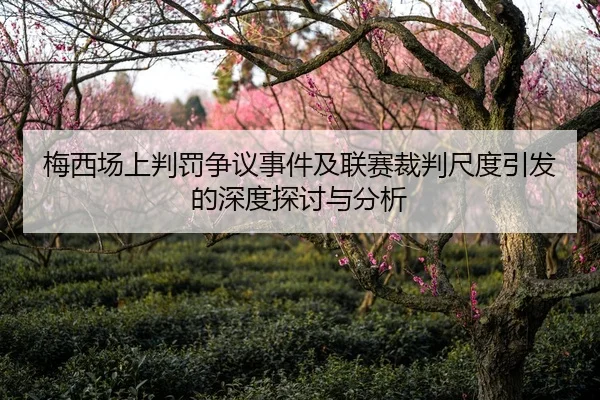 梅西场上判罚争议事件及联赛裁判尺度引发的深度探讨与分析 - WANBO SPORTS
